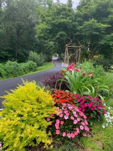 Wildflowers in Weddings: A Timeless Bloom at Flat Rock Farm Garden 3 Flat Rock Farm Weddings