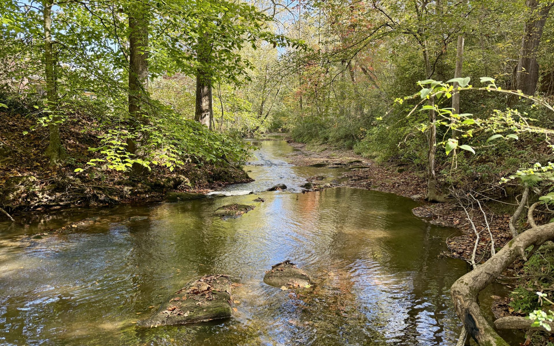 flat rock farm wedding venue toccoa georgia