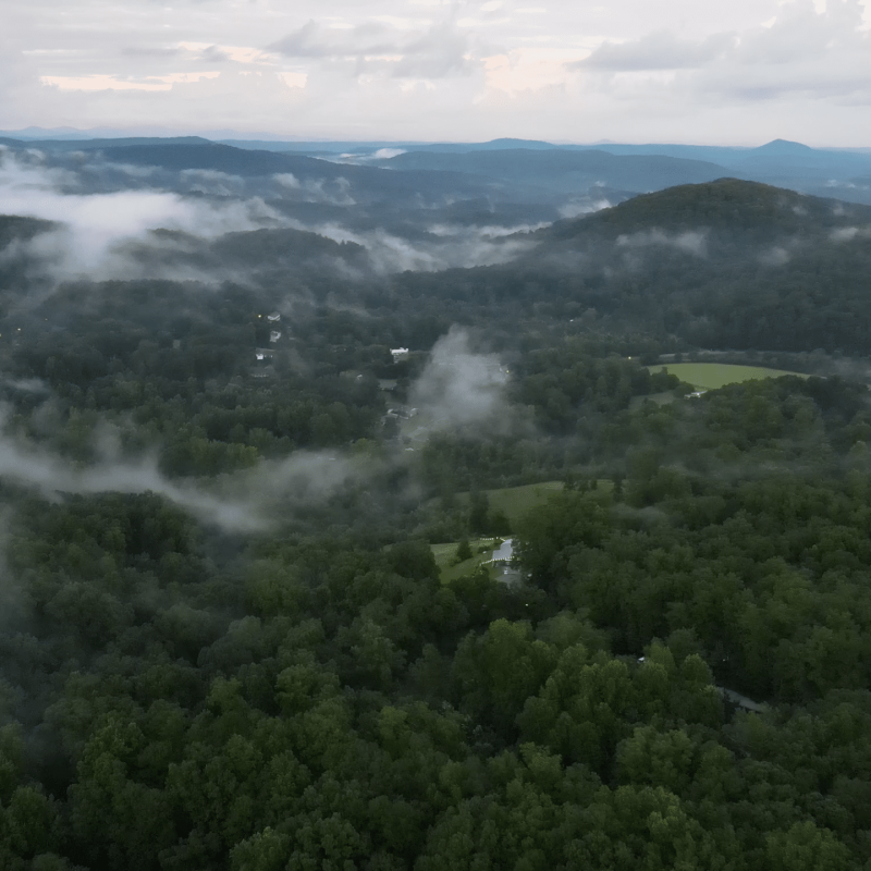 Screen Shot 2020-10-12 at 1.21.33 PM