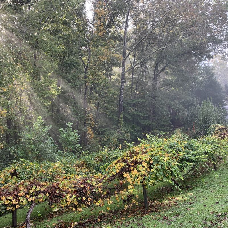 Toccoa, GA Wedding Venues